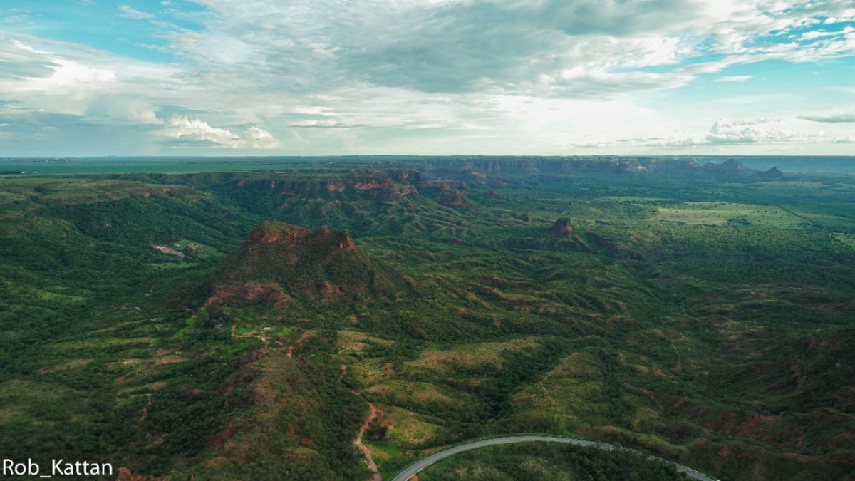 Uso de drone em restauração florestal