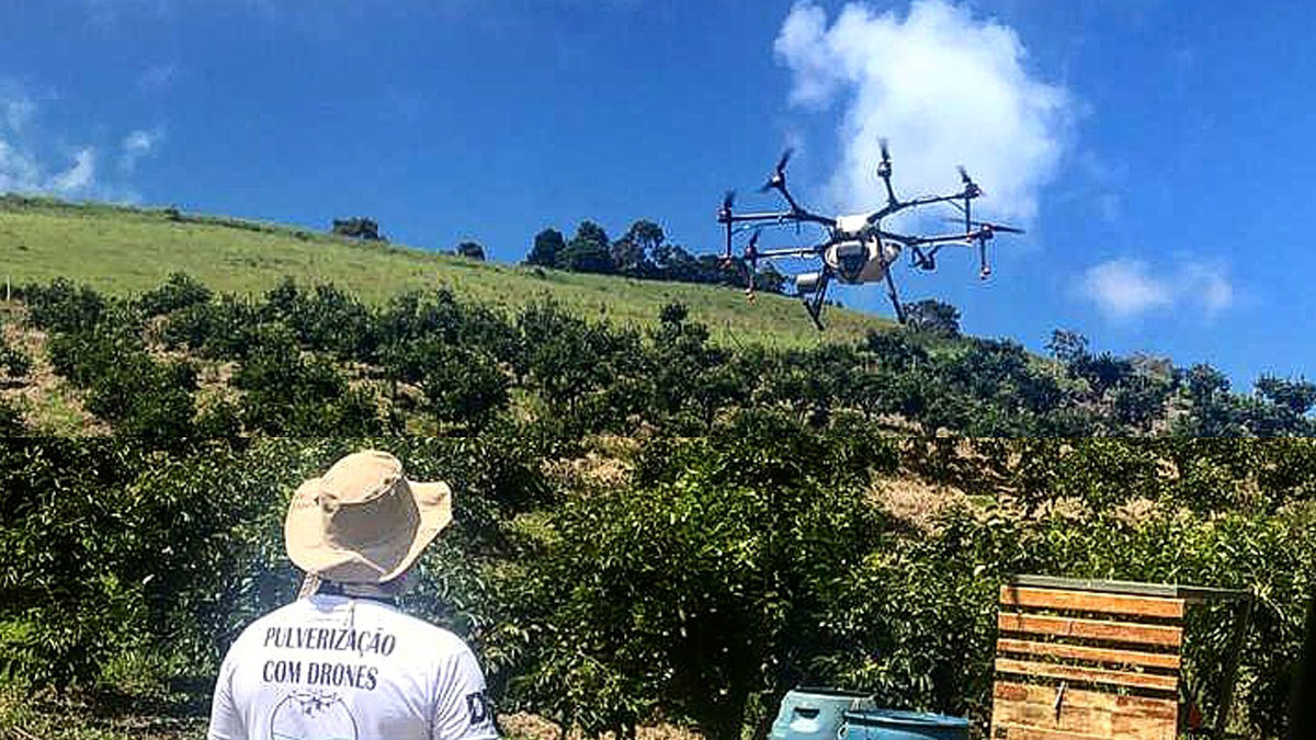 Como drones podem aumentar o rendimento na agricultura